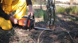 Best Lawn Irrigation Installation and Maintenance  in North Redington Beach, FL